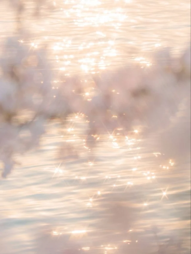 Instagram 投稿 17887677066344785